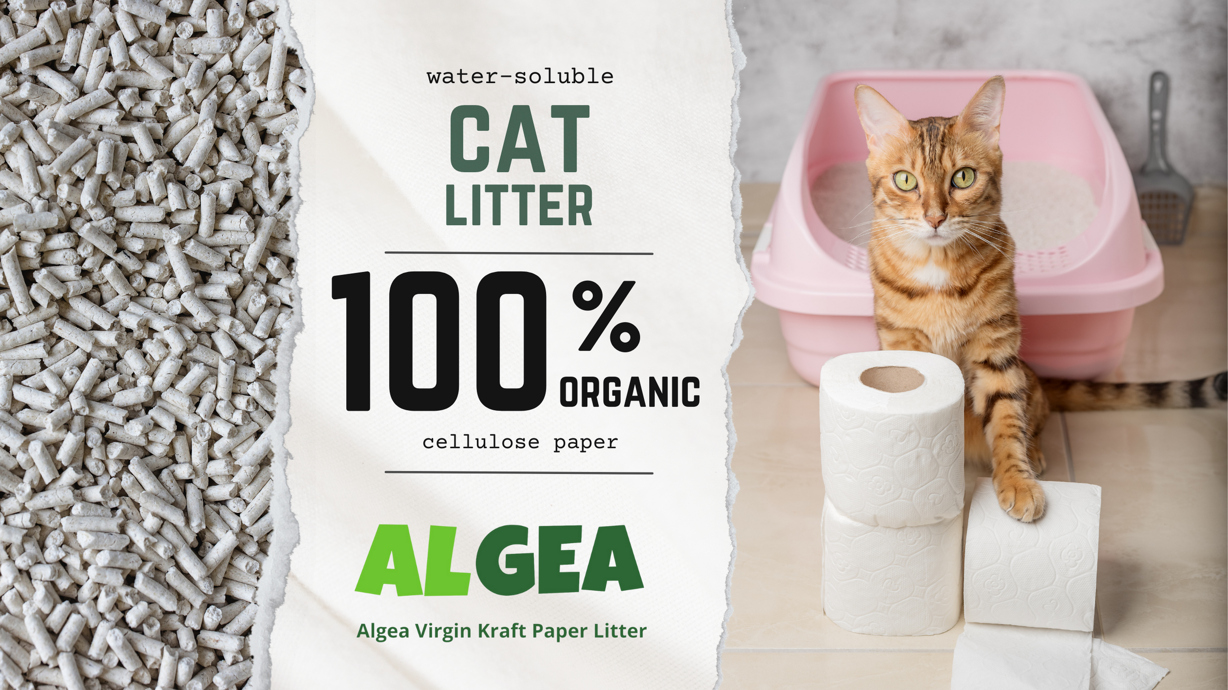 Organik Kedi Kumu